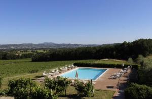 托尔贾诺Poggio alle Vigne的葡萄园里的一个游泳池,有一堆椅子