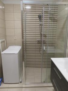 莫雄马扎尔古堡City Corner Central的带淋浴的浴室(带卫生间和水槽)