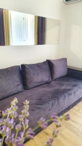 利沃夫DeMar Apart Violet的客厅配有带镜子的紫色沙发