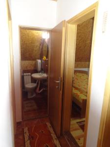 扎布利亚克快乐旅馆的一间带卫生间和水槽的小浴室