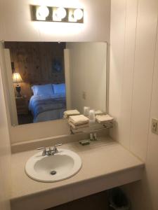 马尼斯蒂克Holiday Motel的一间带水槽和镜子的浴室以及一张床