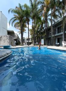 Hotel Suites del Real内部或周边的泳池