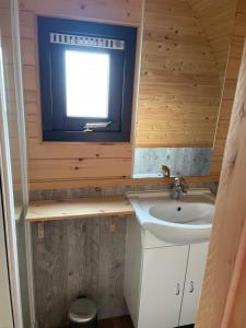 DronrijpWoodlodge Menaldum的一间带水槽和窗户的小浴室