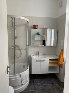 埃格尔Balàzs Apartman的带淋浴、盥洗盆和卫生间的浴室