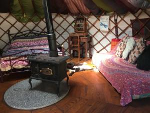 Vale do BarcoStar Gazing Luxury Yurt with RIVER VIEWS, off grid eco living的相册照片