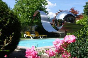 弗拉绍彭奥霍夫酒店的一个带游泳池和金属镜子的花园