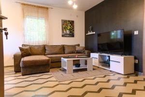 索科矿泉村Apartman N&P的带沙发和平面电视的客厅
