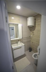 大格拉迪什泰Code Srebrno Jezero的一间带水槽、卫生间和镜子的浴室