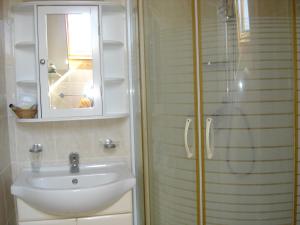 BourthMaison Theresa的带淋浴、盥洗盆和镜子的浴室