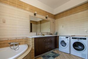 普林斯Iris Villa的一间带水槽和洗衣机的浴室