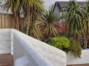GarvaghGortin Glen Guest House的白色混凝土围栏,种植植物和棕榈树