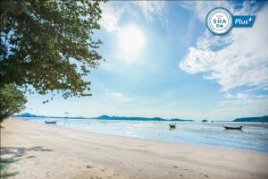 拉威海滩Blue Beach Grand Resort And Spa SHA Plus的水面上有两个长椅的海滩