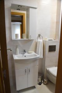 索科矿泉村Millenium apartment的一间带水槽、镜子和卫生间的浴室