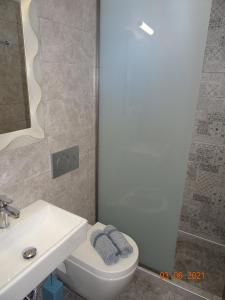 萨索斯Studios Anais - Thasos的浴室配有卫生间、盥洗盆和淋浴。