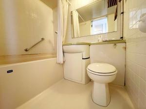 白滨Hotel Ginsui的一间带卫生间、水槽和镜子的浴室