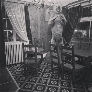 西沃德范吉尔德酒店的一只大熊站在带椅子的房间