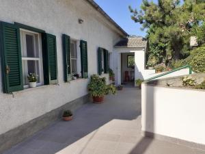 Castiglione a CasauriaHoliday House Graziella的一座带绿色百叶窗和盆栽植物的房子