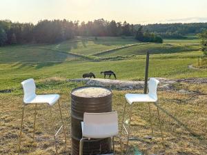 Tystberga9 person holiday home in Tystberga的田野里两把椅子和一张桌子,两匹马