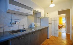 Zubrzyca GórnaNoclegi u Kowalczykow的厨房配有水槽和冰箱