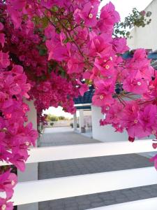 多纳卢卡他Letizia的白色长凳上的一束粉红色的花