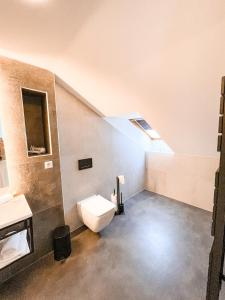 兰什克龙Penzion Jakub的一间带卫生间和水槽的浴室