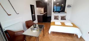 艾克斯莱班Studio Le 119, Aix les bains - Grand port - Vue Lac splendide的相册照片