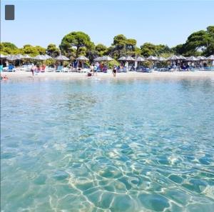 阿特米达Athens Villa Artemis pool Sea Airport的海滩上有遮阳伞和水中的人