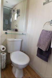 彻奇斯特雷顿Hilltop Hut的浴室设有白色的卫生间和镜子