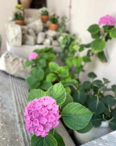 BoianoBoutique Hotel Palazzo Corso Umberto的与其他植物一起在桌子上放着粉红色的花