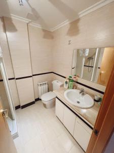塔拉戈纳Apartamento Playa Arrabassada的一间带卫生间和水槽的浴室