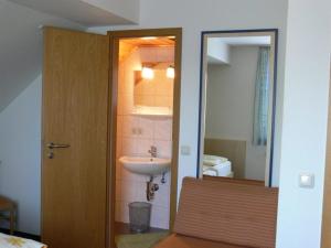 阿勒斯贝格Pension zur Einkehr的一间带水槽和镜子的浴室