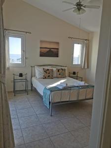 帕福斯Villa Vista的一间卧室设有一张大床和两个窗户。
