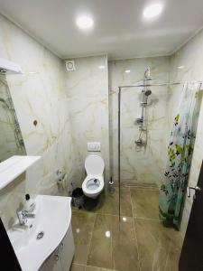 大格拉迪什泰Apartmani Zivkovic Srebrno Jezero的浴室配有卫生间、淋浴和盥洗盆。