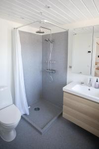 托尔斯港Luxurious House in Downtown Tórshavn的带淋浴、卫生间和盥洗盆的浴室