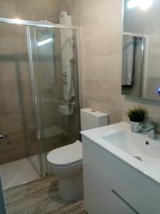 EsteponaBeach Apartments Old Town的浴室配有卫生间、淋浴和盥洗盆。