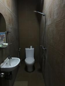 沙努尔龟岛民宿的一间带卫生间和水槽的浴室