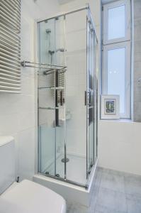 索波特Apartament Mesa - NoclegiSopot的一间带卫生间的浴室内的玻璃淋浴间