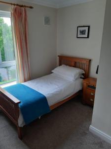 塔洛Mount Wolseley Holiday Home - Privately Owned的一间卧室配有一张带蓝色毯子的床和窗户。