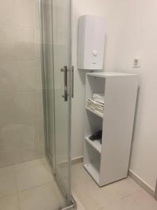 斯科普里Artemis Apartment - nice, family friendly and cozy的浴室里设有玻璃门淋浴