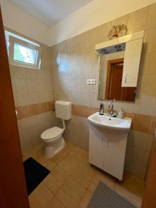 比克Vámos Apartman的一间带卫生间、水槽和镜子的浴室