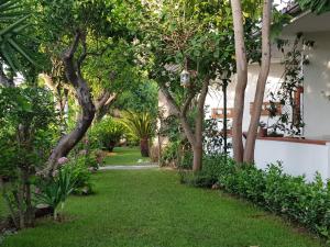 特罗佩阿Litto Appartamenti的绿树成荫的花园