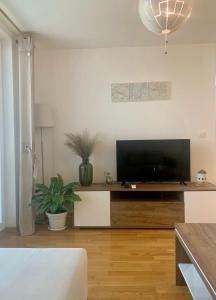 斯科普里Artemis Apartment - nice, family friendly and cozy的客厅配有壁橱上的平面电视