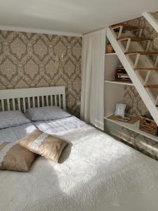 科尔卡Sapņi的一间卧室配有一张带书架的床