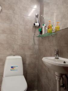 利沃夫Near Rynok Square的浴室配有白色卫生间和盥洗盆。