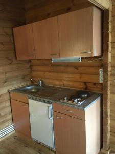 雷克霍特Heidi Cabin的小厨房配有炉灶和水槽