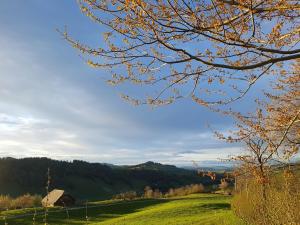 海斯勒B&B Hof Grosschreie的树在田野里,有谷仓的背景