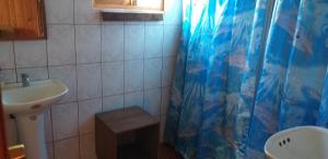 普孔Hospedaje Picoyo的一间带水槽和淋浴帘的浴室