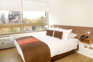 圣地亚哥普罗维登公寓酒店的一间卧室设有一张床和一个大窗户