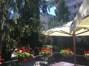 乔阿久拜杰米萨拉酒店的一个带遮阳伞和红色鲜花的庭院