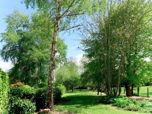 普卢阿Holiday Home Dolce Vita - PHA104 by Interhome的草场上的一群树木